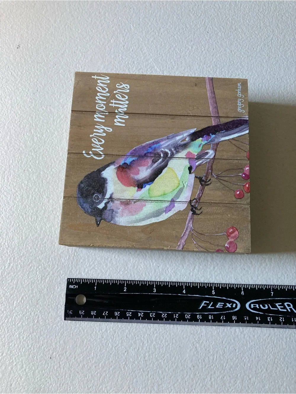 Darice Rustic Bird Hanging Plaque 